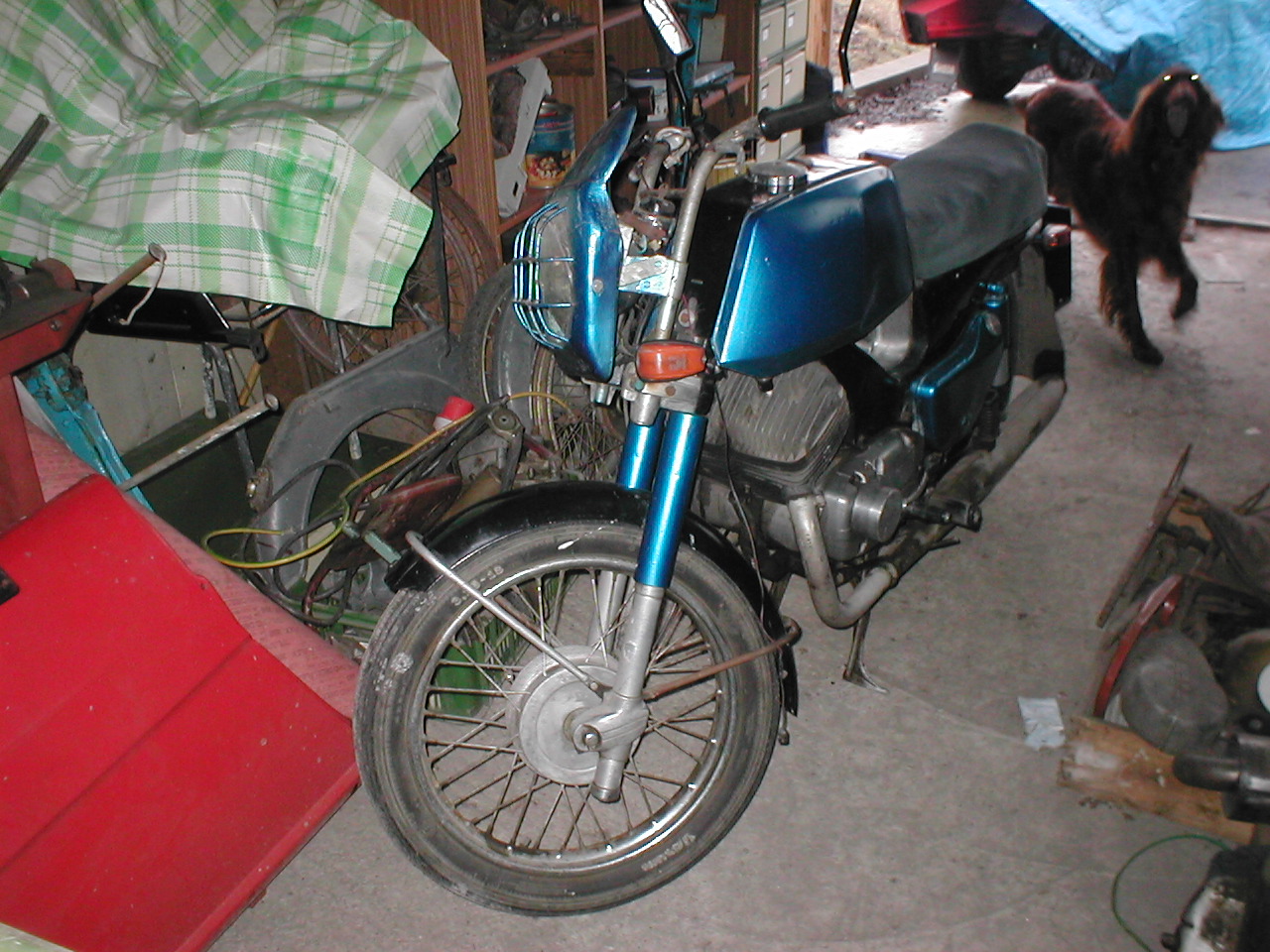 P3030446.JPG
