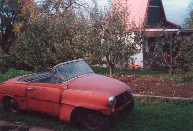 felicie 001.JPG