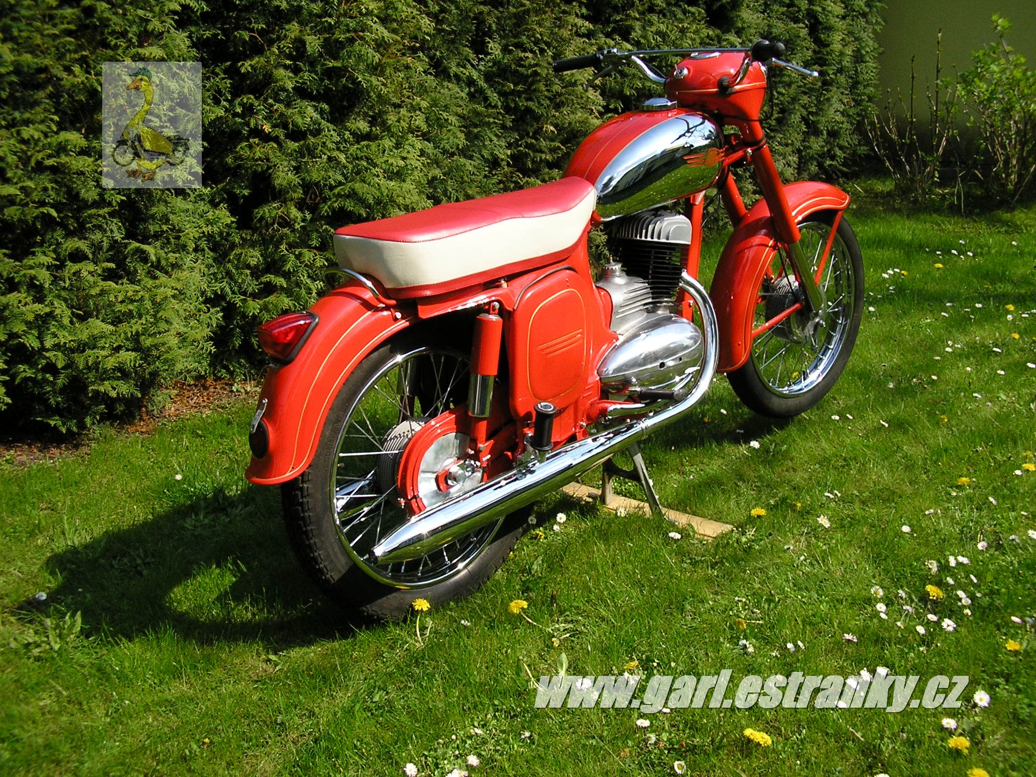 sport_z_z_09.jpg